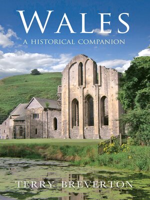 cover image of Wales a Historical Companion